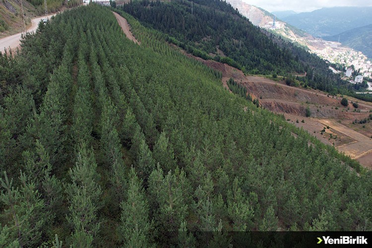 Eti Bakır teknoloji yatırımlarıyla Türkiye'de güvenli madenciliğe öncülük ediyor