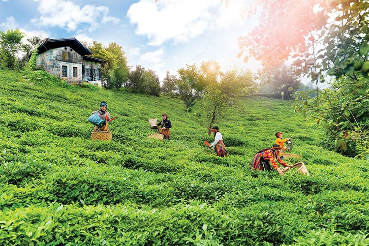 Her Dem Toprak İçin 'projesi ile toprak sağlığı iyileşiyor