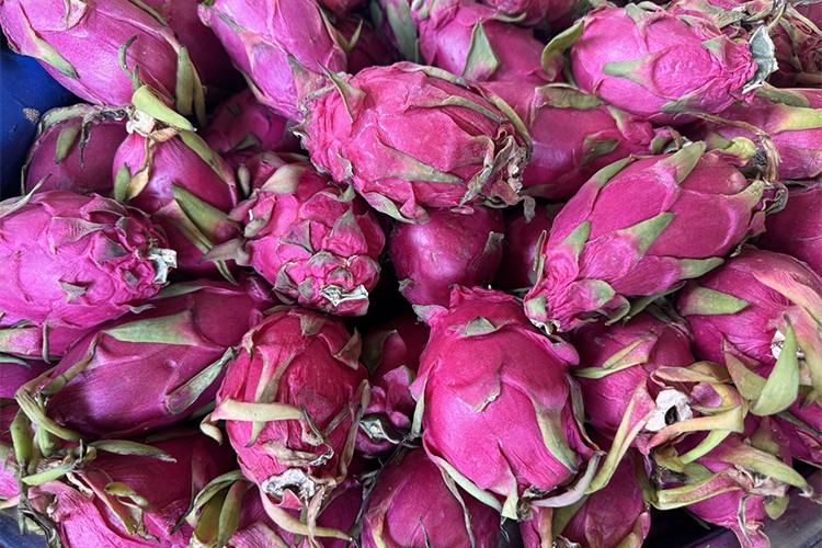 Türkiye'nin tropikal meyve ihracatı 17,5 milyon doları aştı