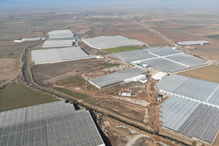 Jeotermal sera yatırımları ülke ekonomisine katkı sağlıyor