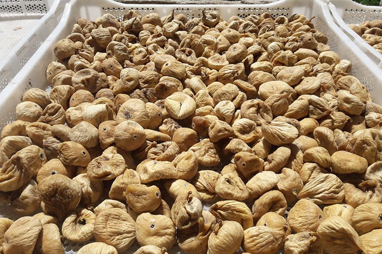 Verimliliğe odaklandılar