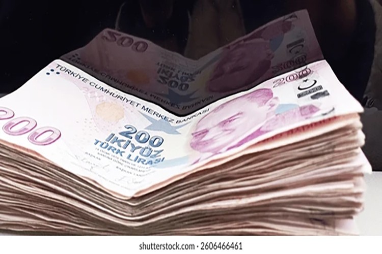 Hazine iki ihaleyle yaklaşık 95,7 milyar lira borçlandı