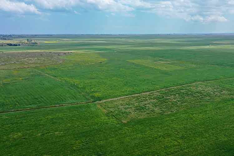 Türkiye'den boru hattıyla getirilen su çare olacak