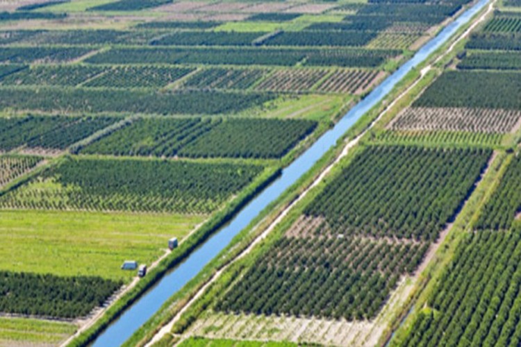 Çankırı'da bazı yerlerde arazi toplulaştırması yapılacak