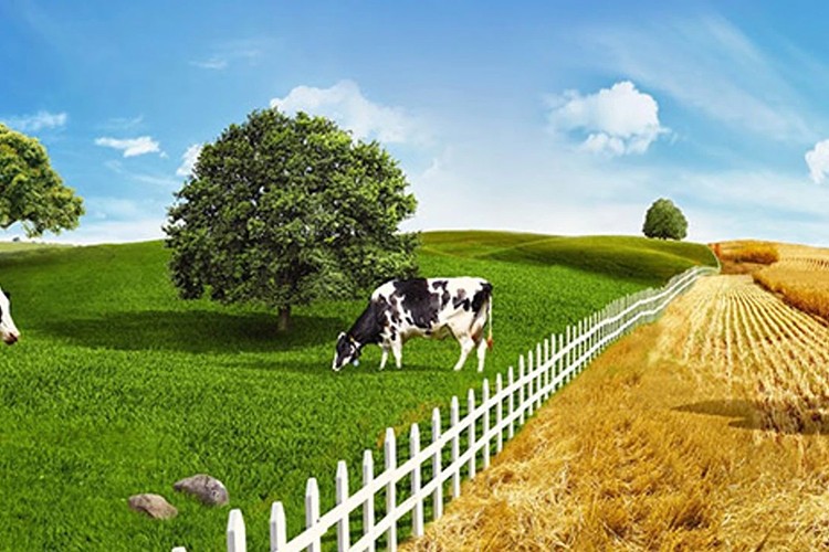 Tarım ve hayvancılıkta öncelikli yatırımlar için yol haritası çizildi