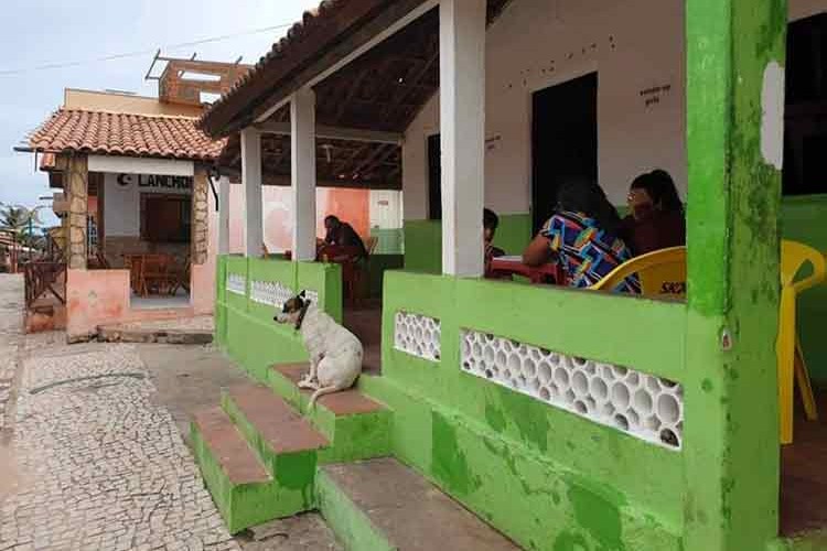 Fortalizza'nın kum tepeleri Brezilya