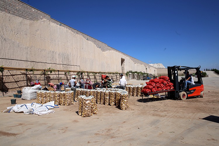 Üretim arttı, fiyat düştü