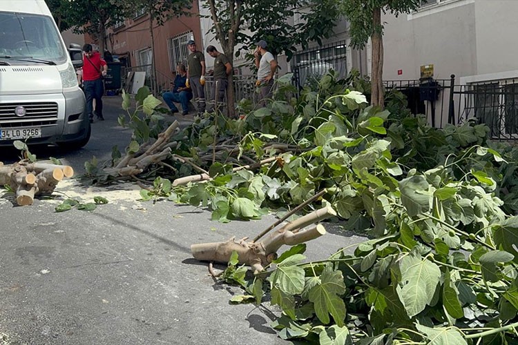 İstanbul'da etkisini sürdüren fırtına hayatı olumsuz etkiliyor