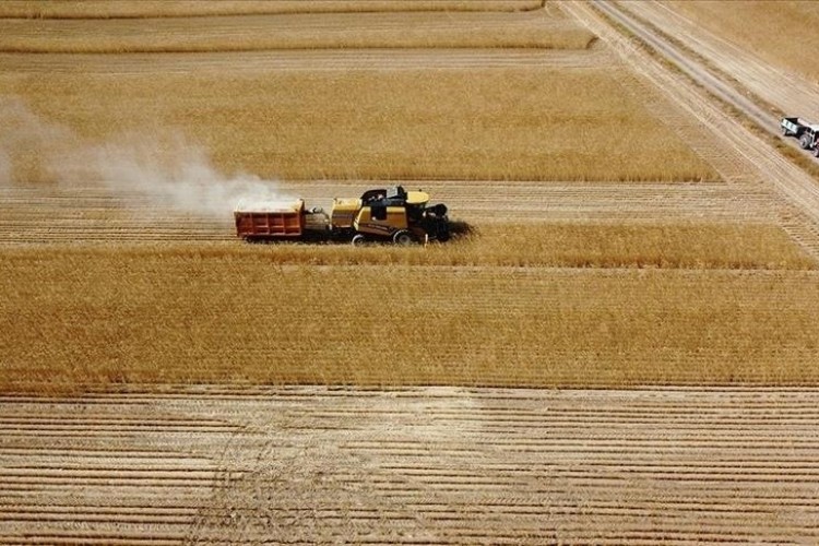 Çiftçilere 225 milyon 746 bin liralık tarımsal destek ödemesi yapılacak