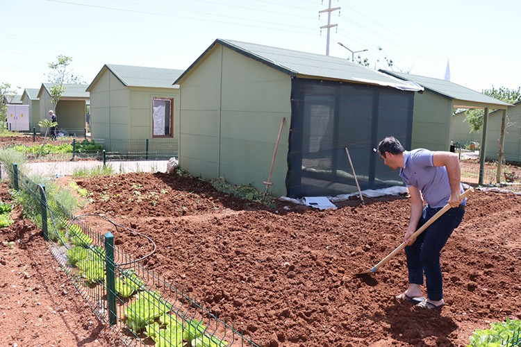 İsot ekimine başlanıldı