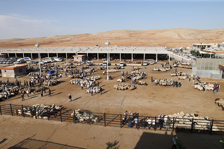 Şanlıurfa'da Kurban Bayramı öncesi hareketlilik