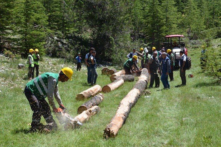 Orman köylüleri yerinde destekleniyor