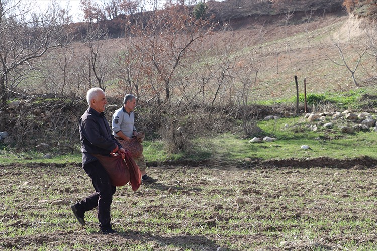 Hasankeyf'te engebeli arazide imece mesaisi
