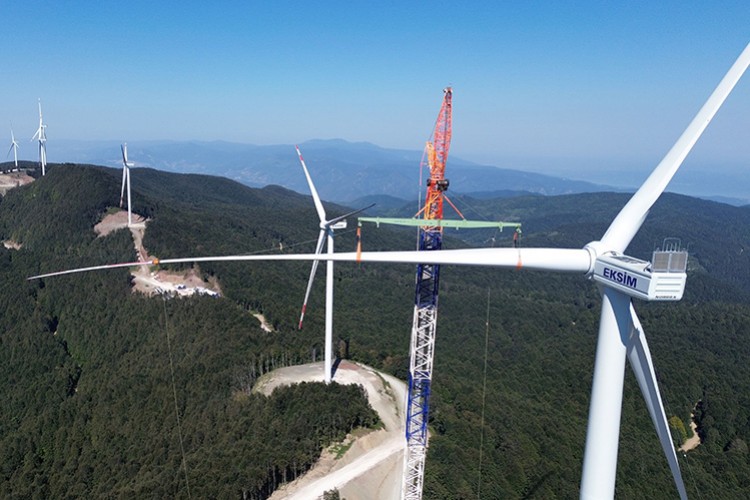 Temiz Enerji Yatırımlarında Yaban Hayatını Koruyor