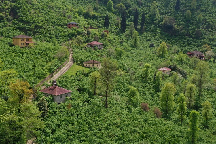 Fındık üreticilerinin yeni sezon mesaisi başladı
