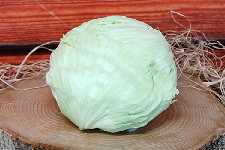 Zam şampiyonu lahana