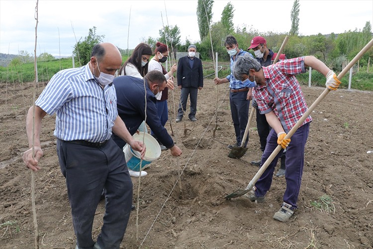 Mera yetersizliği ipek böcekçiliğine yöneltti