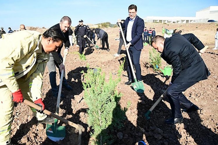 Yemyeşil bir OSB için anlamlı etkinlik