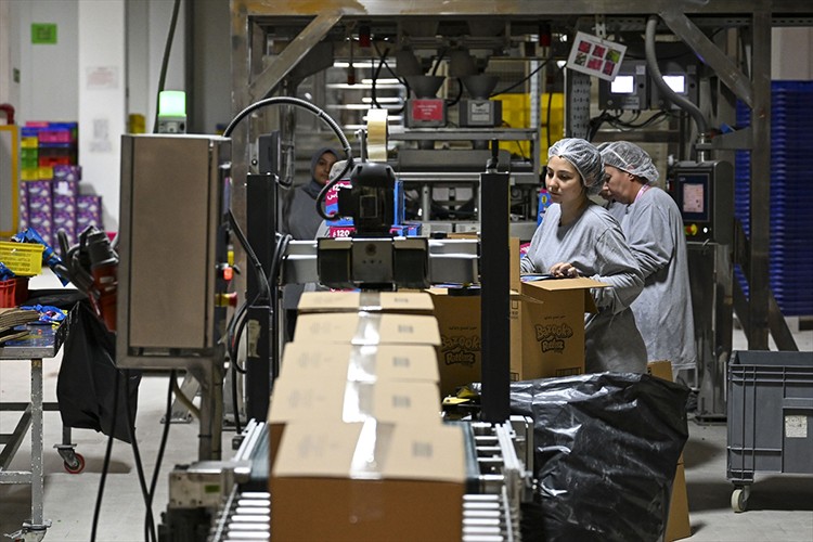 Halka arzda talep toplama yarın başlıyor