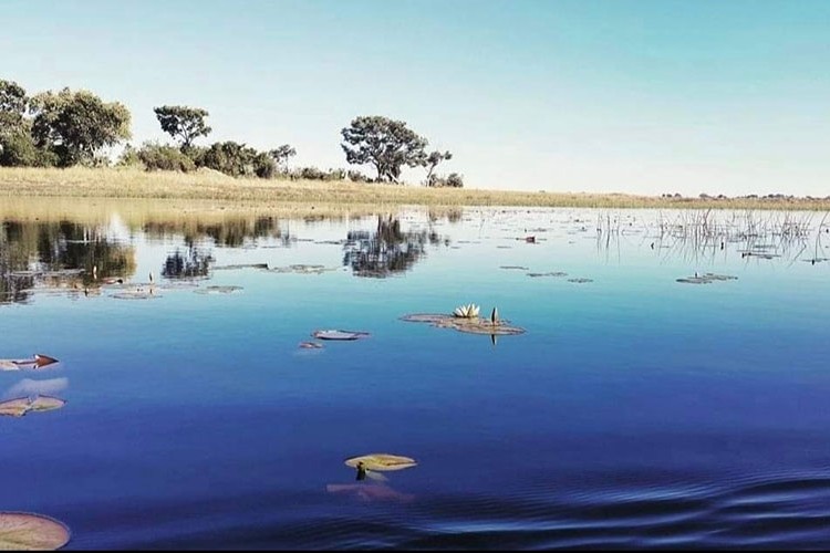 Batı Afrika'nın renkli ritimleri ve ruhları…
