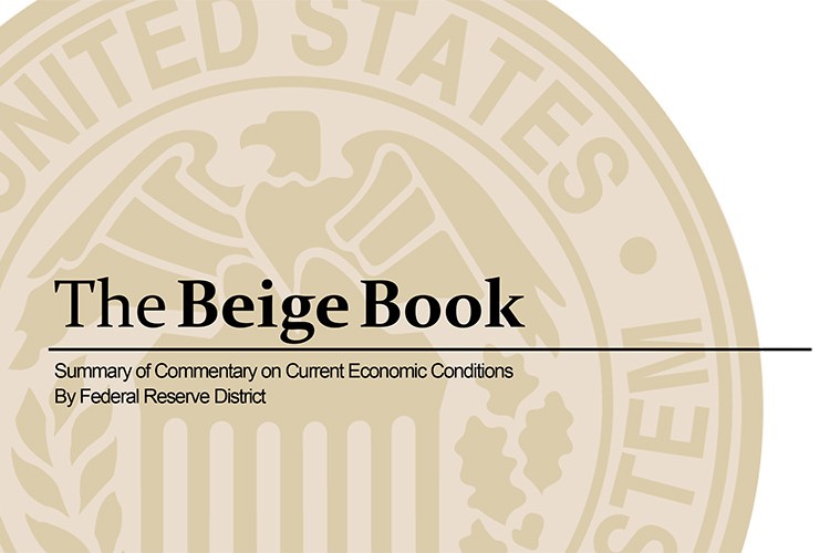 "Ekonomik faaliyet son haftalarda yavaşladı"