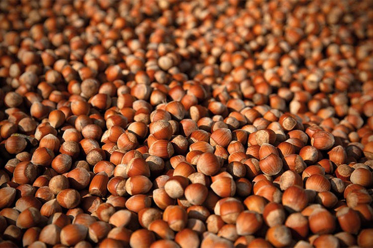 Balsu Gıda, Borsa İstanbul'a geliyor