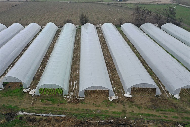 Edirne'de aktif sera sayısı arttı