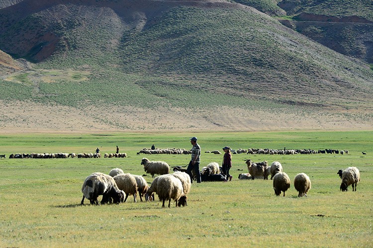 Fiyatı artıranlar cezalandırılmalı