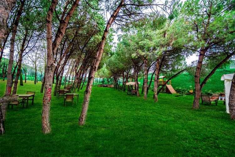 Şehir merkezinde ekolojik mahalle konsepti