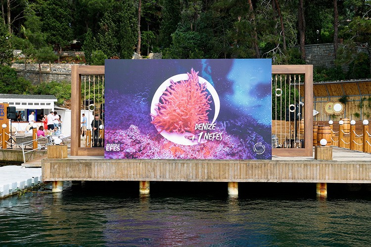 Mercan resifleri canlı olarak izlendi