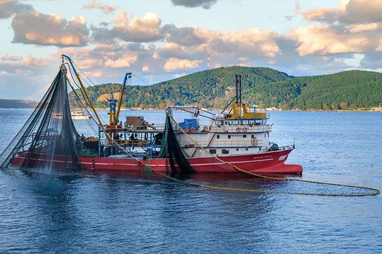 AB'de balıkçıların avlanma derinliği 50 metre
