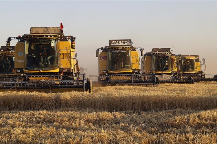 TMO hububat alım bedellerini üreticilerin hesaplarına aktardı