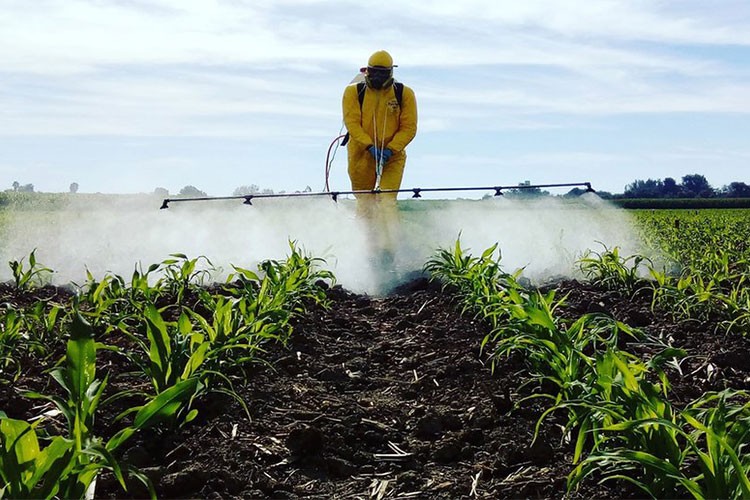 Son 2 yılda 370 bin çiftçiye "pestisit" eğitimi verildi