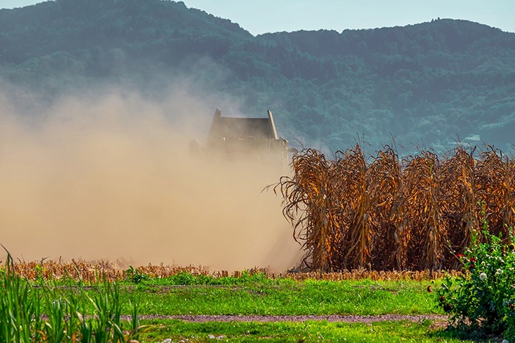 Ziraat mühendisleri "iklim değişikline dayalı tarım takvimi" talep etti