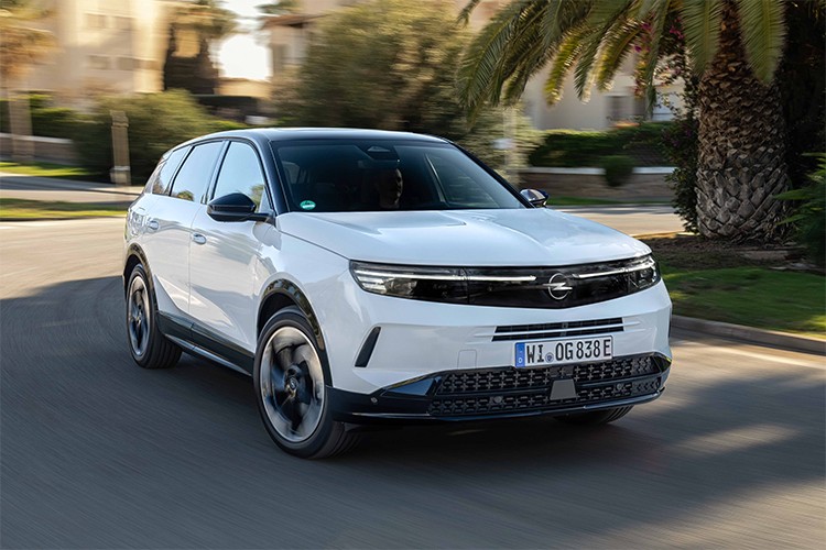 Köpek Balığı Geleneği Yeni Grandland ile Devam Ediyor