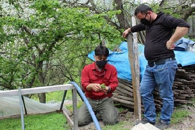 FAO: Gıda arzı yeterli