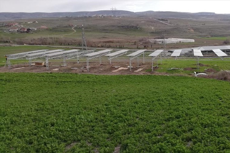 Tarım GES uygulaması elektrik üretmeye başlıyor