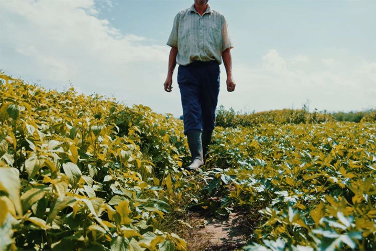 Vahşi sulamaya dikkat çeken kamu spotu