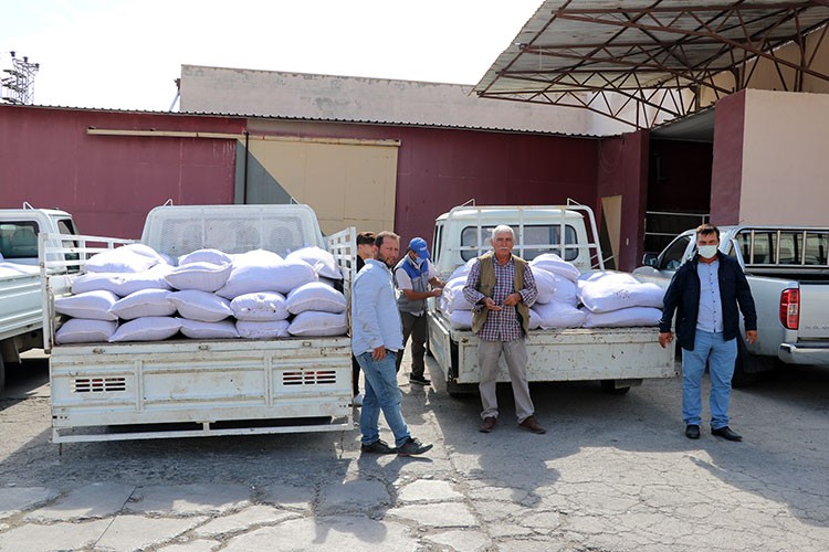 TMO, Manisa'da kuru üzüm alımına başladı