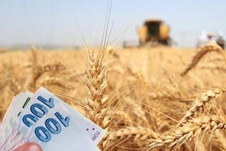 Trımsal desteklerde proje limitleri yükseltildi