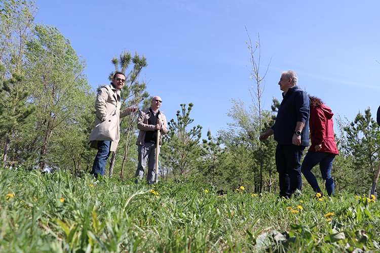 Astana'daki Kazakistan-Türkiye Kardeşlik Korusu büyüyor