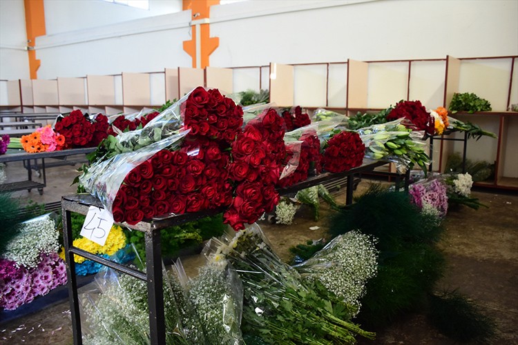 Antalya'da çiçek mezatlarında Öğretmenler Günü yoğunluğu