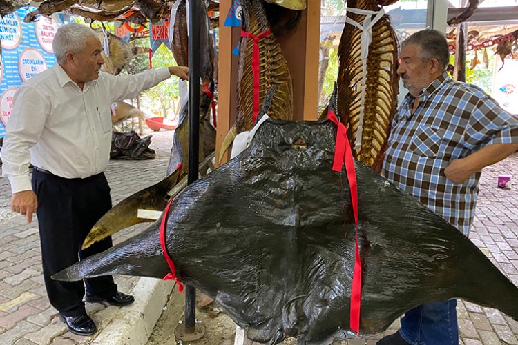 50 yıllık dostlar müzede buluştu