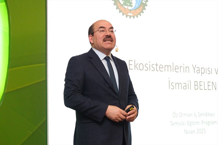 Orman varlığımız 3,2 milyon hektar büyüdü