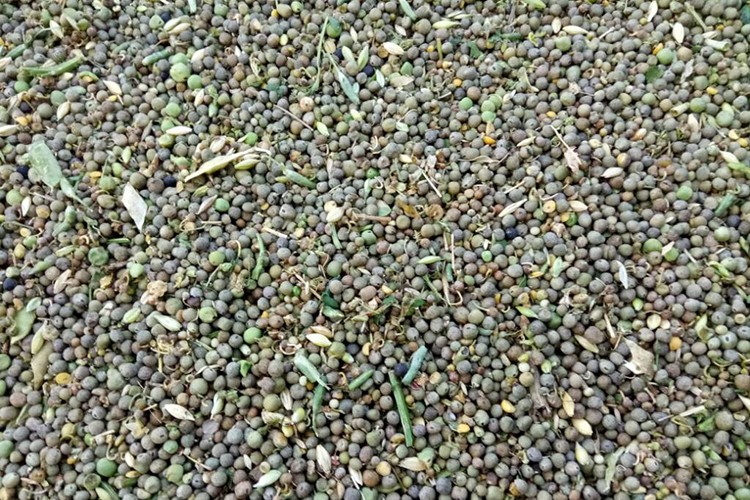 Yem ve tohumda indirim