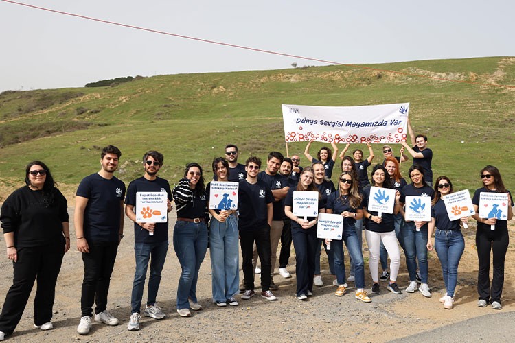 Anadolu Efes Gönüllüleri Sokak Hayvanları için Harekete Geçti!