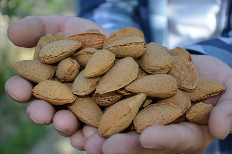 Üretici ihracata başladı