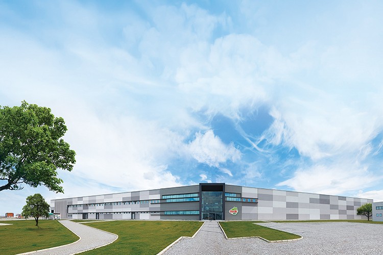 Robotlar tavuk sektöründe