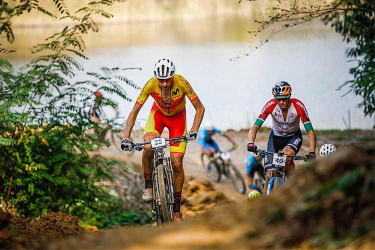 Dünya Kupası, Bisiklet Festivali ve 3 konser