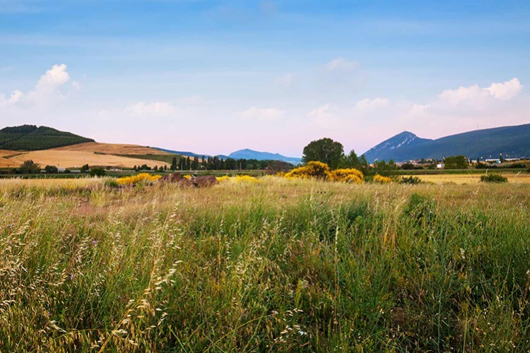 130 milyonluk yatırım